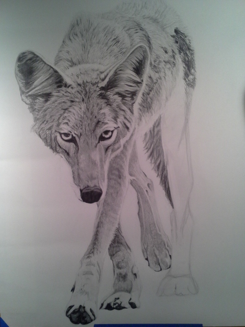 Coyote Process8